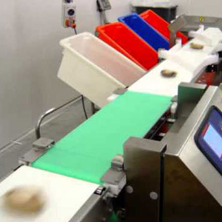 Scanvaegt Check Weigh Belts